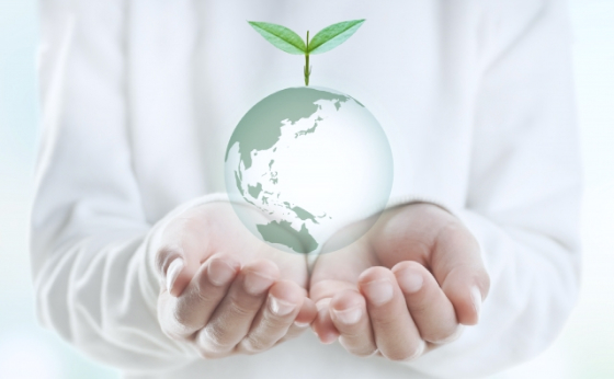 画像：エコロジーのイメージ